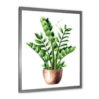 DesignArt 'Zamioculcas tropska biljka sa zelenim lišćem na bijeloj' tradicionalno uokvireni umjetnički tisak