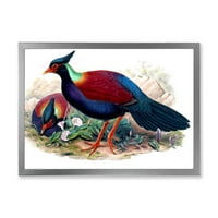 Dizajnerska umjetnost drevne ptice u divljini u Australiji uokvirena tradicionalna umjetnička gravura