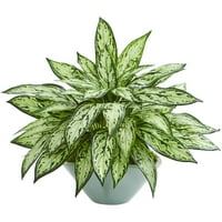 Gotovo prirodno 16 Plastična srebrna kraljica umjetna biljka u vazi, zelena