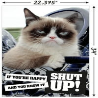 Grumpy Cat - Umukni zidni plakat, 22.375 34