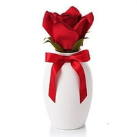 izrazita karakteristika crvene cvjetne ruže je izraz cvijetaVolim te.