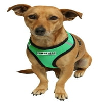 Pasji pojas za pse, lagana Ogrlica za šetnju, podstavljeni prsluk za kontrolu kućnih ljubimaca - zelena