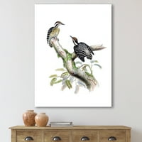 Drevne ptice u divljim viii slikarskim platno umjetnički tisak